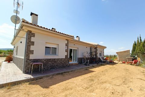 Villa i Pinoso, Alicante, Pinoso - € 420.000 | Ref: AM-JOSMIP - foto 6