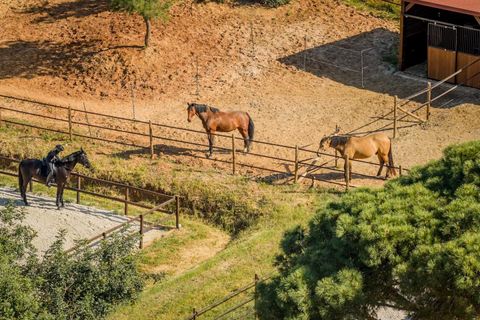 Villa i Almancil, Faro, Almancil - € 8.950.000 | Ref: 0105 - foto 15
