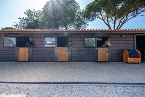 Villa i Almancil, Faro, Almancil - € 8.950.000 | Ref: 0105 - foto 18