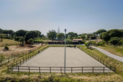 Villa i Almancil, Faro, Almancil - € 8.950.000 | Ref: 0105 - foto 19