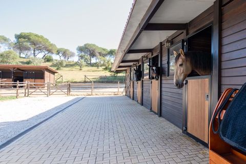 Villa i Almancil, Faro, Almancil - € 8.950.000 | Ref: 0105 - foto 20