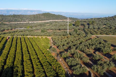 Villa a Freginals, Tarragona, Freginals - € 225.000 | Ref: 319 - foto 45