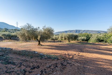 Villa a Freginals, Tarragona, Freginals - € 225.000 | Ref: 319 - foto 39