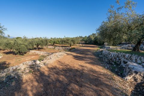 Villa a Freginals, Tarragona, Freginals - € 225.000 | Ref: 319 - foto 32