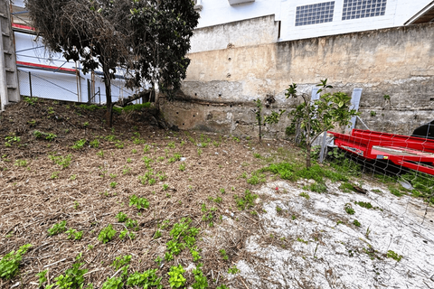 Terra a Tolox, Malaga, Tolox - € 65.000 | Ref: P-26004T - foto 7