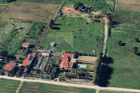 Helårsgrund i Palmela, Setubal, Palmela - € 127.500 | Ref: PAR_1323 - foto 3