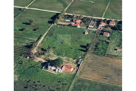 Helårsgrund i Palmela, Setubal, Palmela - € 127.500 | Ref: PAR_1323 - foto 4