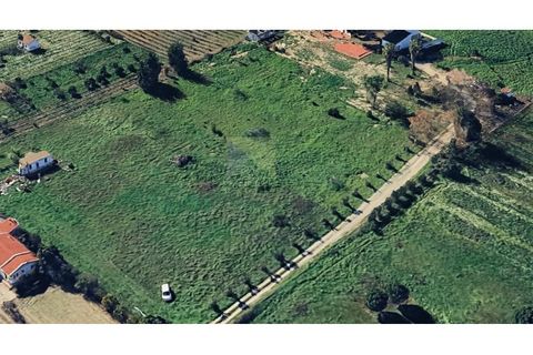 Helårsgrund i Palmela, Setubal, Palmela - € 127.500 | Ref: PAR_1323 - foto 6