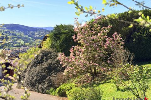 Villa a Natzwiller, Bas-Rhin, Natzwiller - € 299.900 | Ref: 999715-LIMMOBILIERE - foto 21