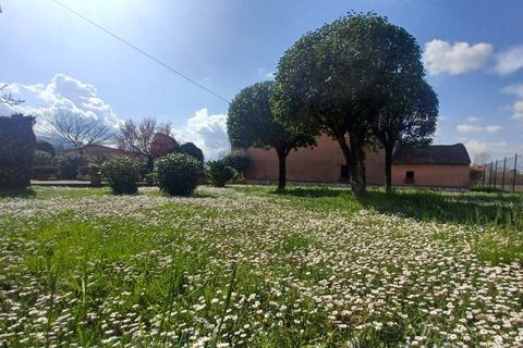 Villa a Anagni, Frosinone, Anagni - € 149.000 | Ref: 2185 - foto 10