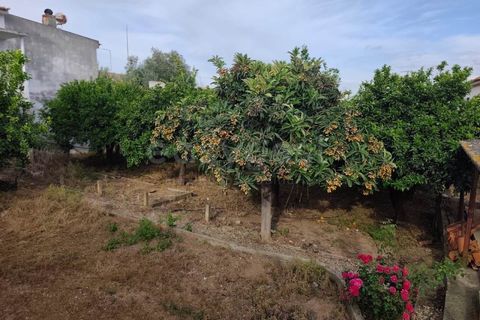 Helårsgrund i Aljustrel, Beja, Aljustrel - € 170.000 | Ref: BJ99145AJ - foto 2