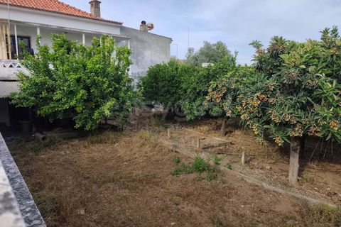 Helårsgrund i Aljustrel, Beja, Aljustrel - € 170.000 | Ref: BJ99145AJ - foto 3