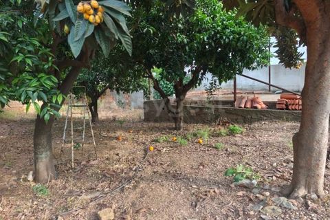 Helårsgrund i Aljustrel, Beja, Aljustrel - € 170.000 | Ref: BJ99145AJ - foto 4