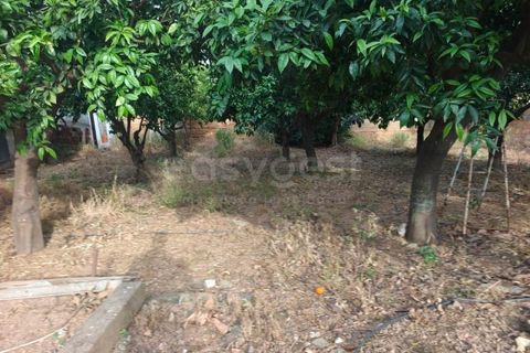 Helårsgrund i Aljustrel, Beja, Aljustrel - € 170.000 | Ref: BJ99145AJ - foto 5