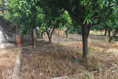 Helårsgrund i Aljustrel, Beja, Aljustrel - € 170.000 | Ref: BJ99145AJ - foto 6