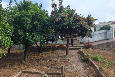 Helårsgrund i Aljustrel, Beja, Aljustrel - € 170.000 | Ref: BJ99145AJ - foto 10