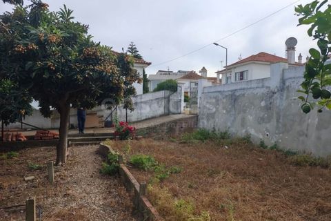 Helårsgrund i Aljustrel, Beja, Aljustrel - € 170.000 | Ref: BJ99145AJ - foto 11