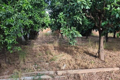 Helårsgrund i Aljustrel, Beja, Aljustrel - € 170.000 | Ref: BJ99145AJ - foto 12