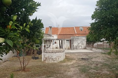 Byhus i Coruche, Santarem, Coruche - € 179.000 | Ref: 055910 - foto 18