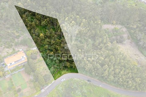 Helårsgrund i Machico, Madeira, Machico - € 115.000 | Ref: 059818 - foto 2