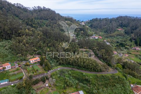 Helårsgrund i Machico, Madeira, Machico - € 115.000 | Ref: 059818 - foto 3