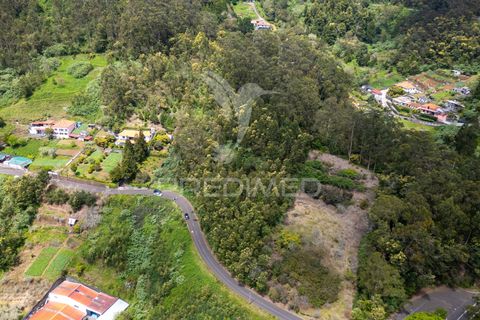 Helårsgrund i Machico, Madeira, Machico - € 115.000 | Ref: 059818 - foto 4