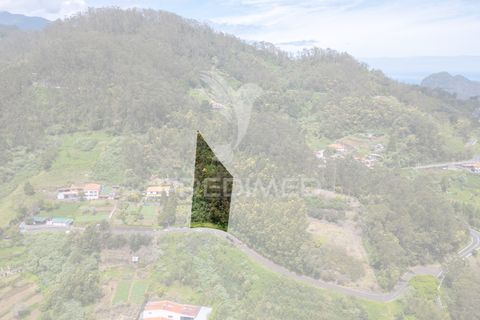 Helårsgrund i Machico, Madeira, Machico - € 115.000 | Ref: 059818 - foto 7