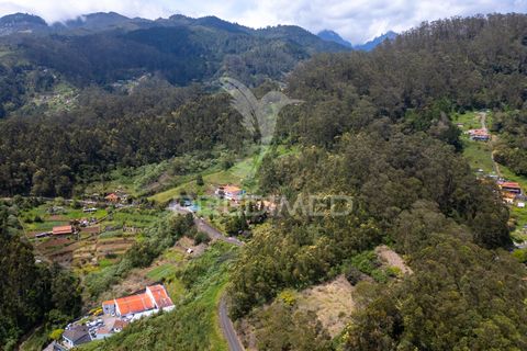 Helårsgrund i Machico, Madeira, Machico - € 115.000 | Ref: 059818 - foto 9
