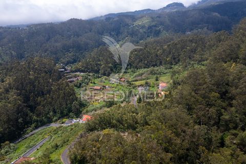 Helårsgrund i Machico, Madeira, Machico - € 115.000 | Ref: 059818 - foto 10