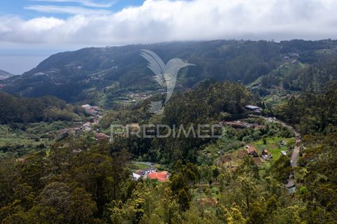 Helårsgrund i Machico, Madeira, Machico - € 115.000 | Ref: 059818 - foto 11