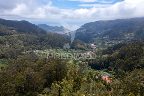 Helårsgrund i Machico, Madeira, Machico - € 115.000 | Ref: 059818 - foto 12