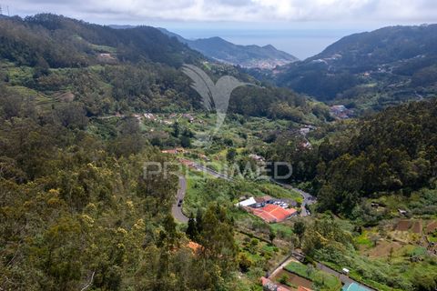 Helårsgrund i Machico, Madeira, Machico - € 115.000 | Ref: 059818 - foto 13