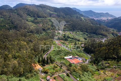 Helårsgrund i Machico, Madeira, Machico - € 115.000 | Ref: 059818 - foto 15