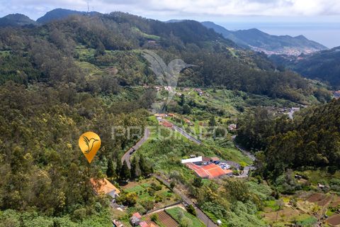 Helårsgrund i Machico, Madeira, Machico - € 115.000 | Ref: 059818 - foto 16