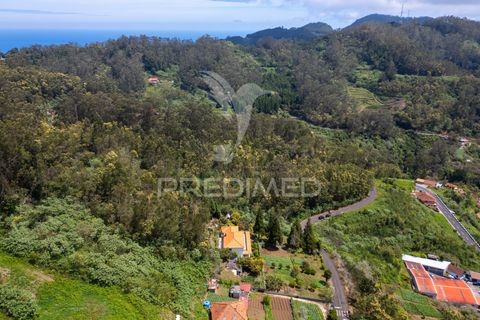 Helårsgrund i Machico, Madeira, Machico - € 115.000 | Ref: 059818 - foto 17