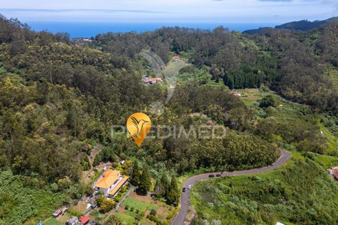 Helårsgrund i Machico, Madeira, Machico - € 115.000 | Ref: 059818 - foto 20