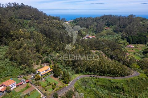 Helårsgrund i Machico, Madeira, Machico - € 115.000 | Ref: 059818 - foto 21