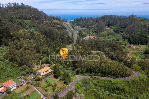 Helårsgrund i Machico, Madeira, Machico - € 115.000 | Ref: 059818 - foto 22