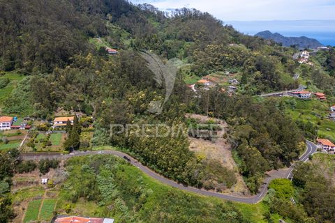 Helårsgrund i Machico, Madeira, Machico - € 115.000 | Ref: 059818 - foto 23