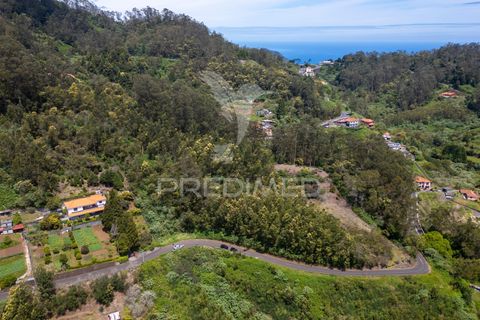 Helårsgrund i Machico, Madeira, Machico - € 115.000 | Ref: 059818 - foto 25