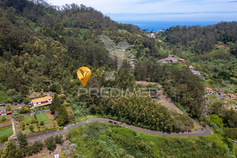 Helårsgrund i Machico, Madeira, Machico - € 115.000 | Ref: 059818 - foto 26