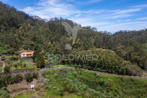 Helårsgrund i Machico, Madeira, Machico - € 115.000 | Ref: 059818 - foto 27