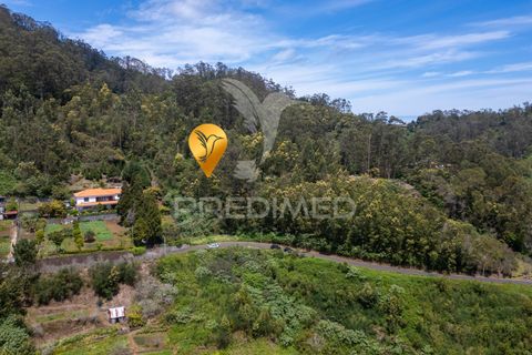 Helårsgrund i Machico, Madeira, Machico - € 115.000 | Ref: 059818 - foto 28