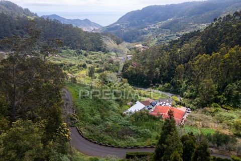 Helårsgrund i Machico, Madeira, Machico - € 115.000 | Ref: 059818 - foto 29