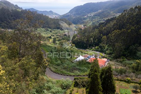 Helårsgrund i Machico, Madeira, Machico - € 115.000 | Ref: 059818 - foto 30
