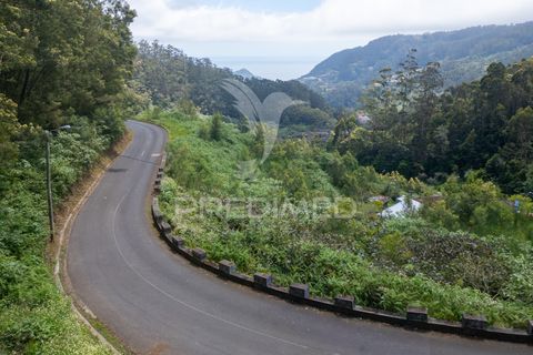 Helårsgrund i Machico, Madeira, Machico - € 115.000 | Ref: 059818 - foto 31