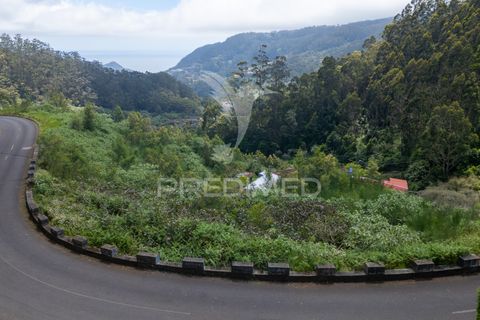 Helårsgrund i Machico, Madeira, Machico - € 115.000 | Ref: 059818 - foto 32
