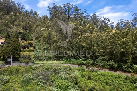 Helårsgrund i Machico, Madeira, Machico - € 115.000 | Ref: 059818 - foto 33