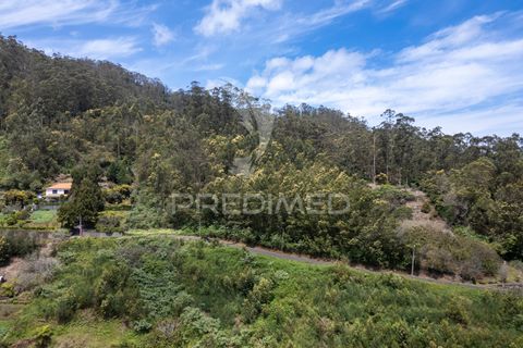 Helårsgrund i Machico, Madeira, Machico - € 115.000 | Ref: 059818 - foto 34