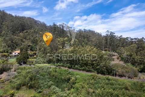 Helårsgrund i Machico, Madeira, Machico - € 115.000 | Ref: 059818 - foto 35